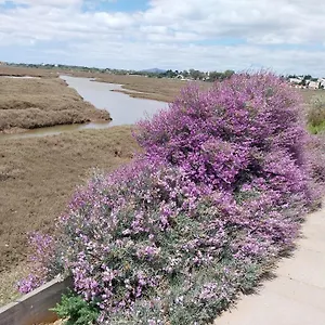 https://studio-pedras-del-rei.hotelaalgarve.com